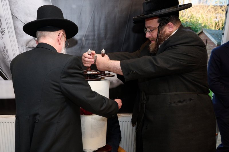 דודי בראון