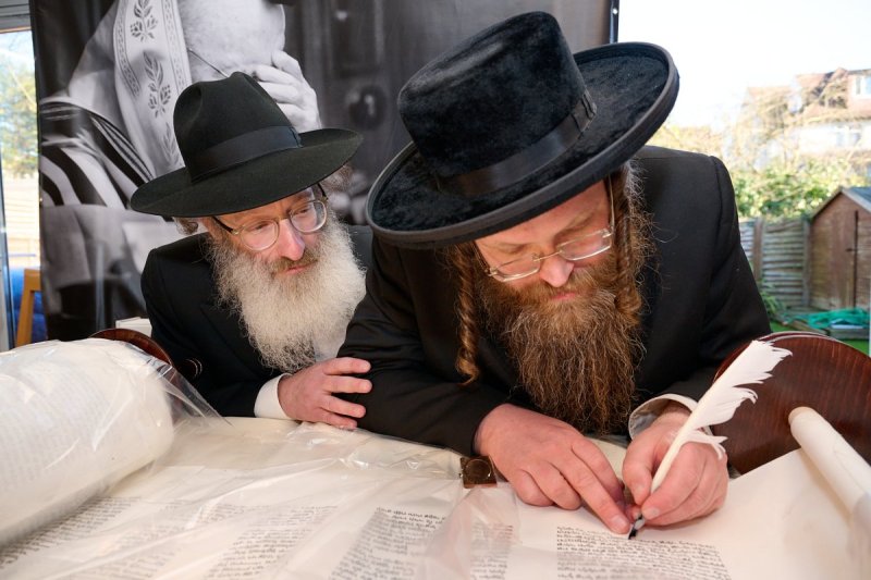 דודי בראון