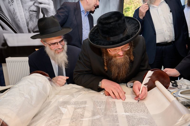 דודי בראון