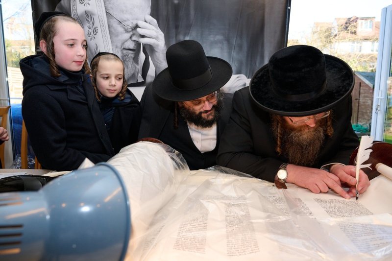 דודי בראון