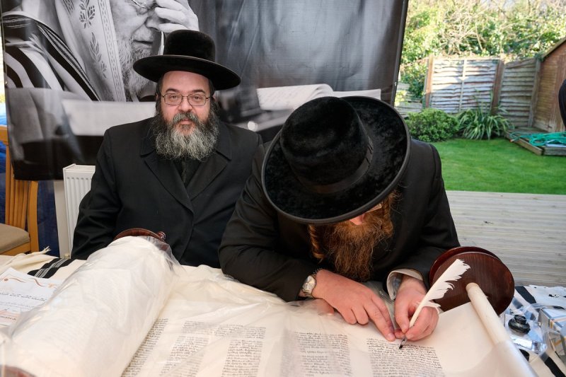 דודי בראון