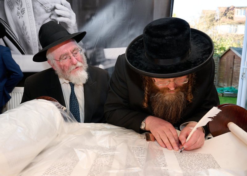 דודי בראון