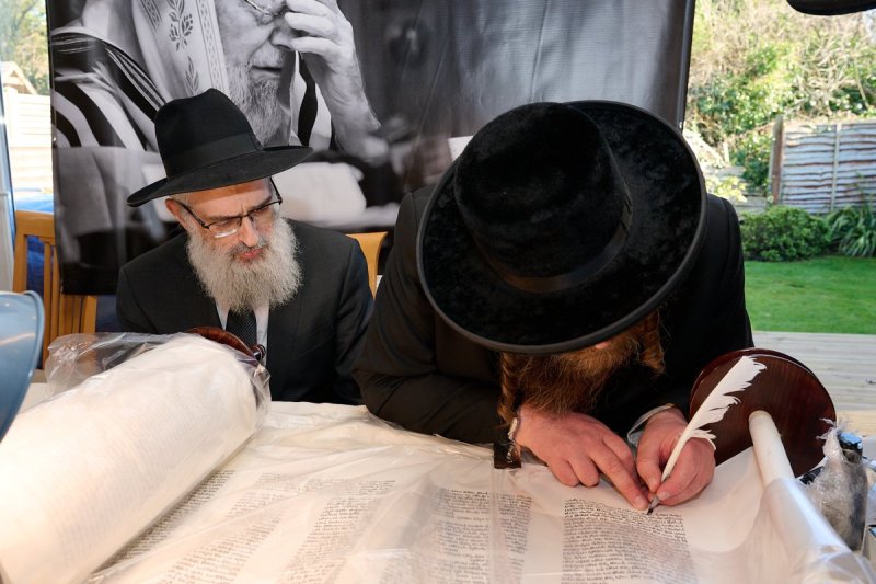 דודי בראון
