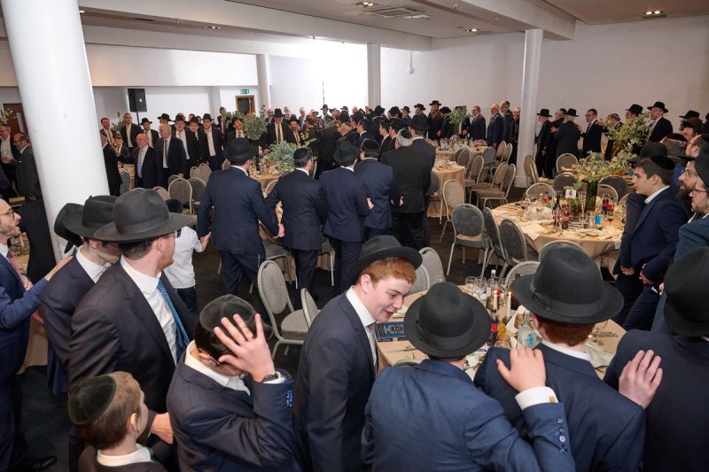 דודי בראון
