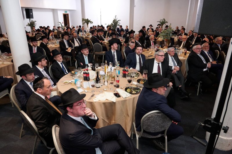 דודי בראון