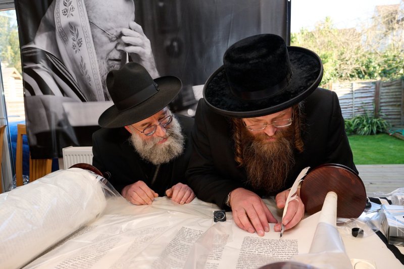 דודי בראון