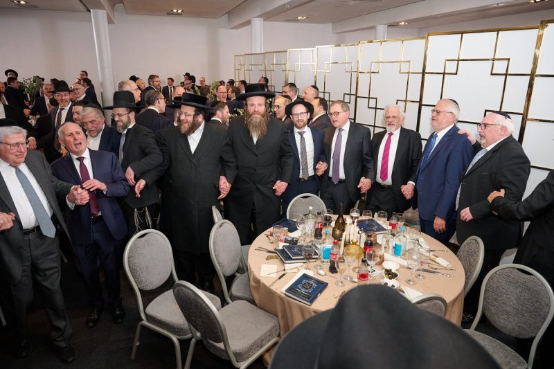 דודי בראון