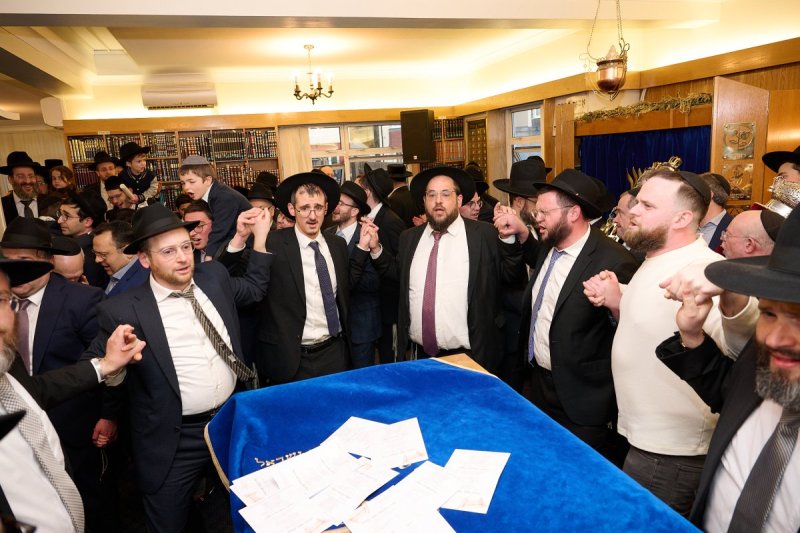 דודי בראון