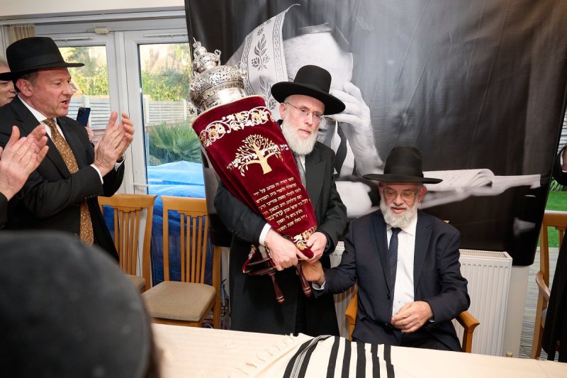 דודי בראון