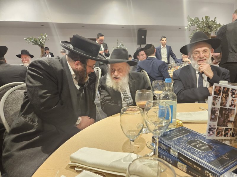 דודי בראון