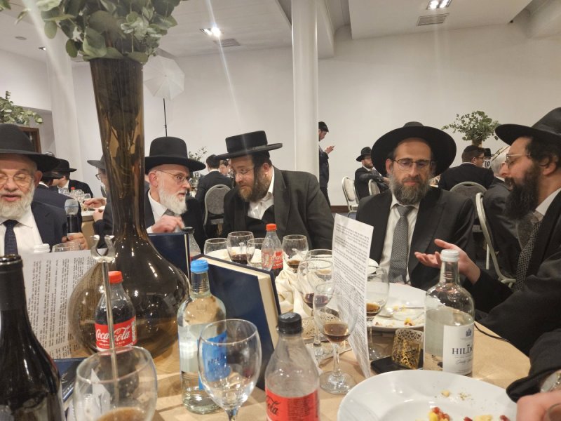 דודי בראון