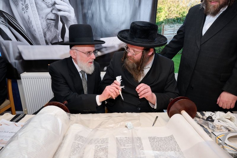 דודי בראון