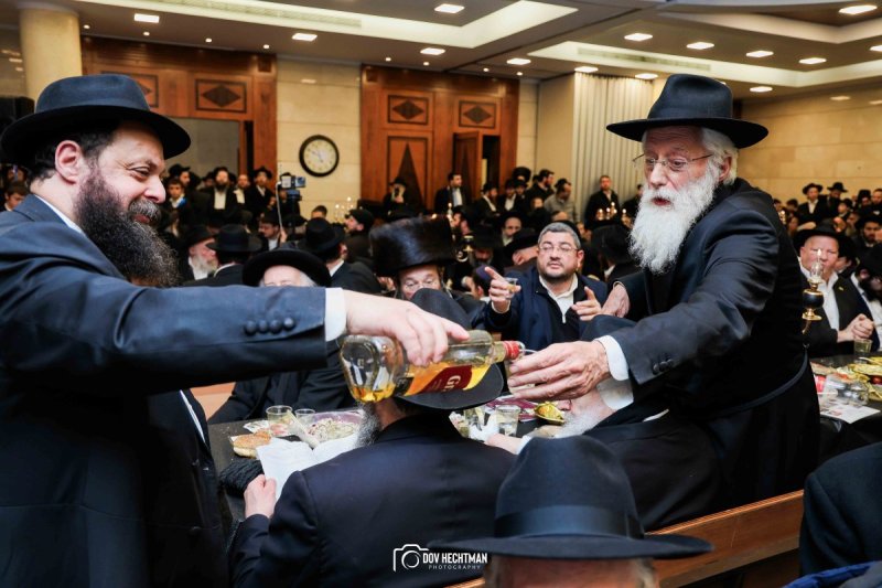 דוב הכטמן