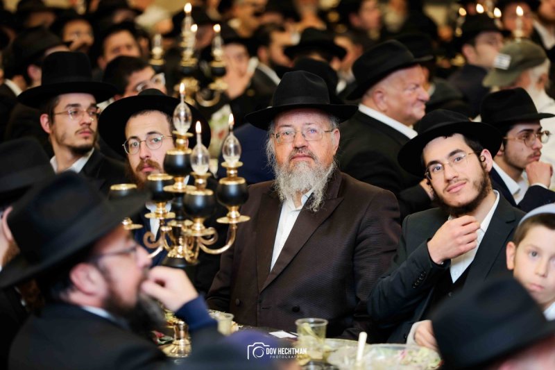 דוב הכטמן