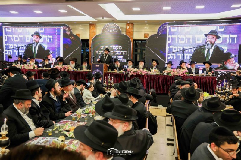דוב הכטמן