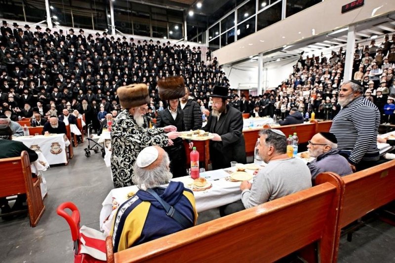 יהושע פרוכטר