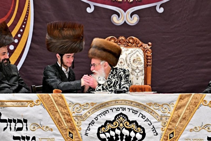 יהושע פרוכטר