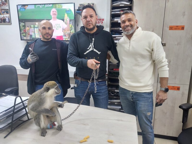 דוברות המשטרה