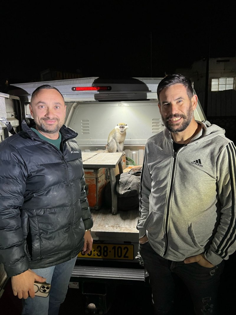 דוברות המשטרה
