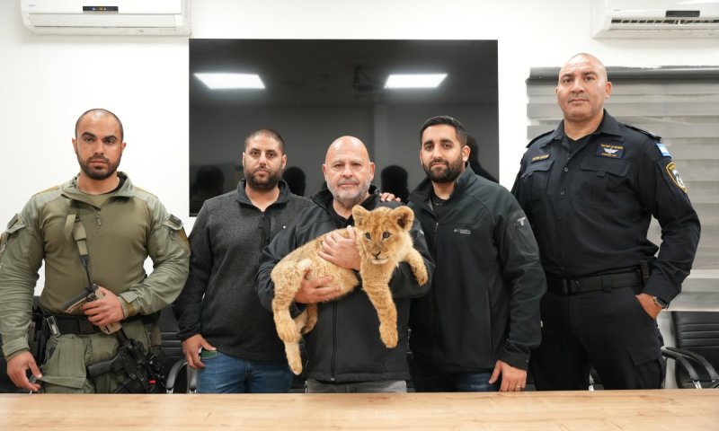 בפעולה לילית: השוטרים הצילו גור אריות ושני קופים
