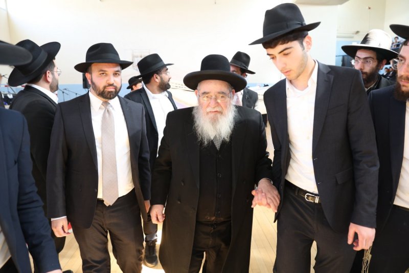 יעקב כהן