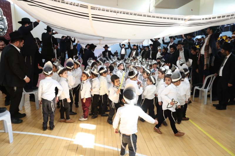 יעקב כהן