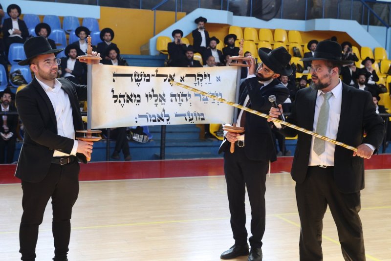 יעקב כהן