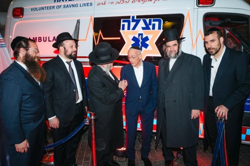 מאיר לביא