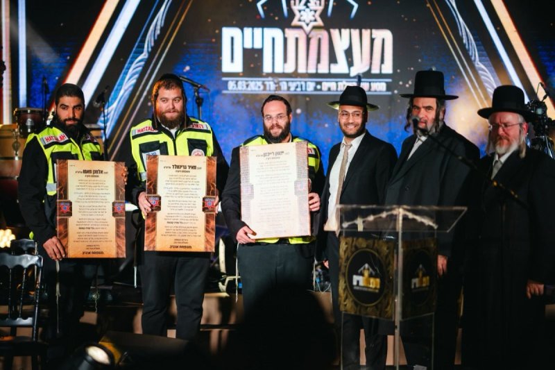 מאיר לביא