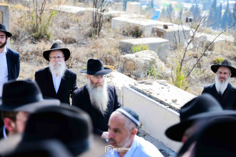 דוב בער הכטמן