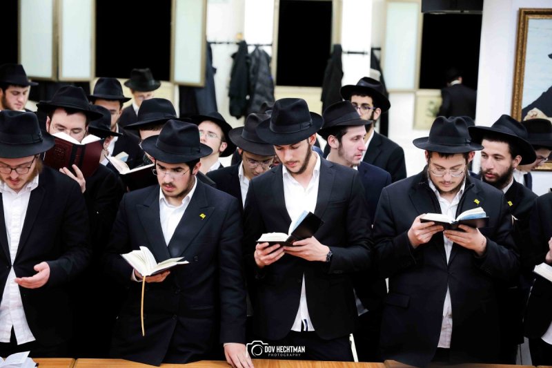 דוב בער הכטמן