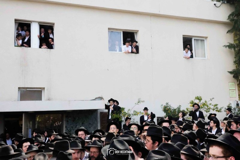 דוב בער הכטמן