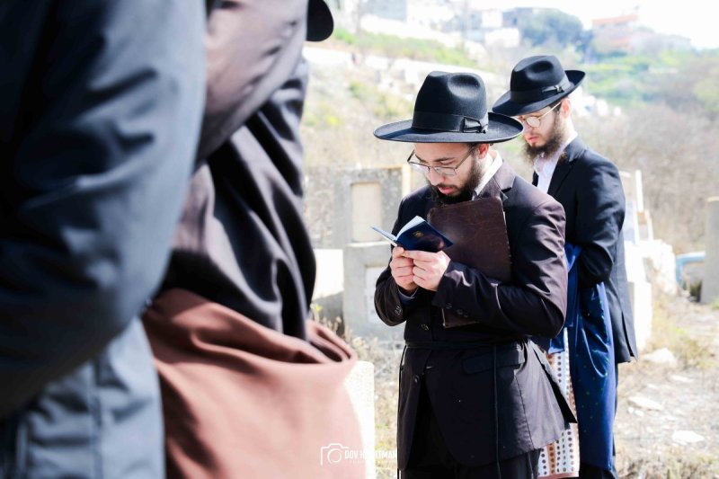 דוב בער הכטמן