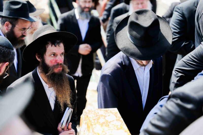 דוב בער הכטמן