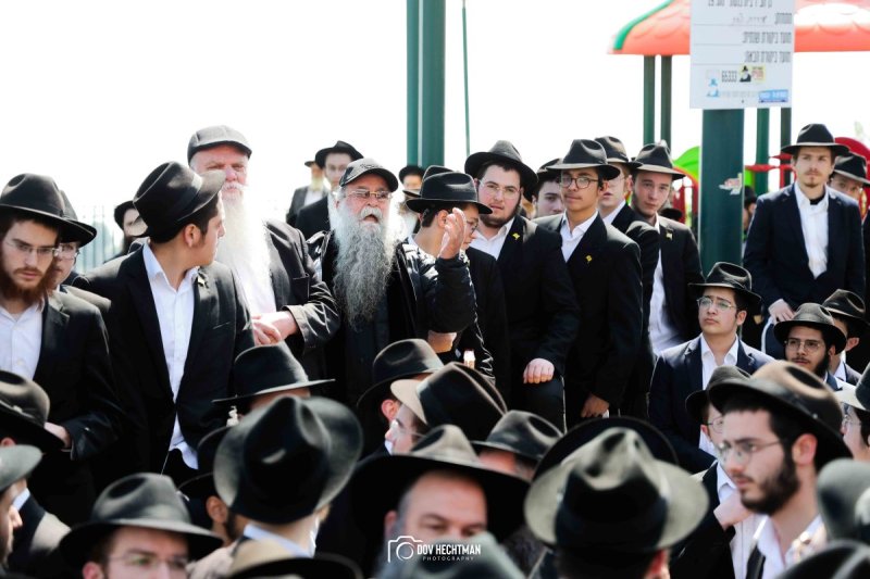 דוב בער הכטמן