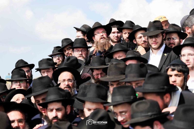דוב בער הכטמן
