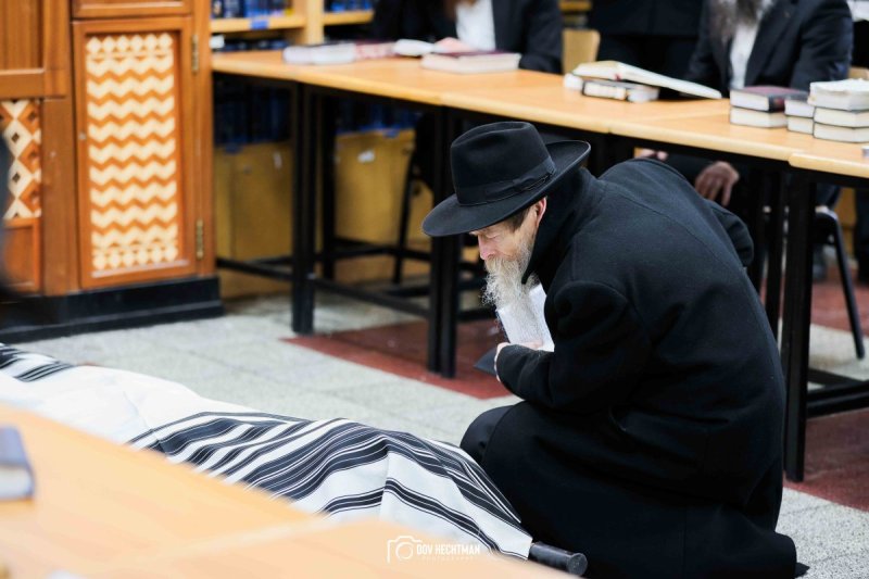 דוב בער הכטמן