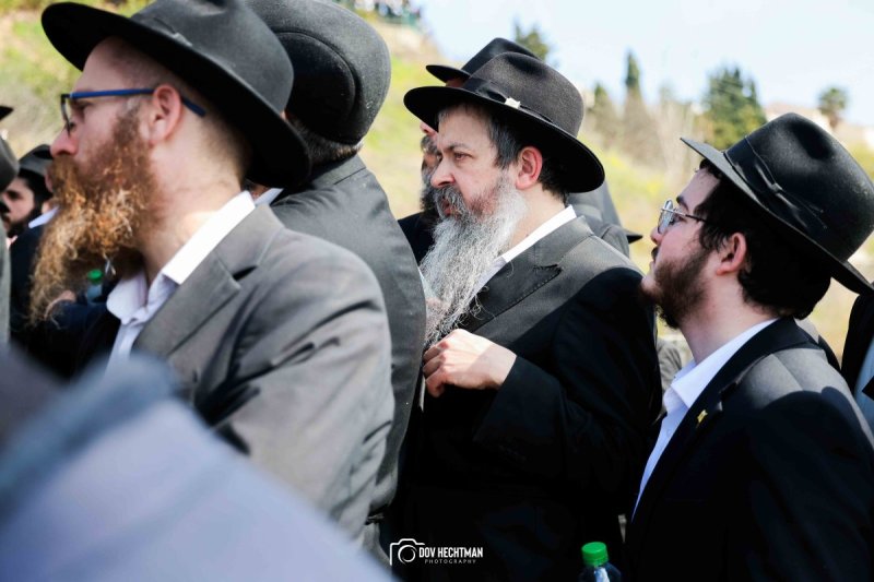 דוב בער הכטמן