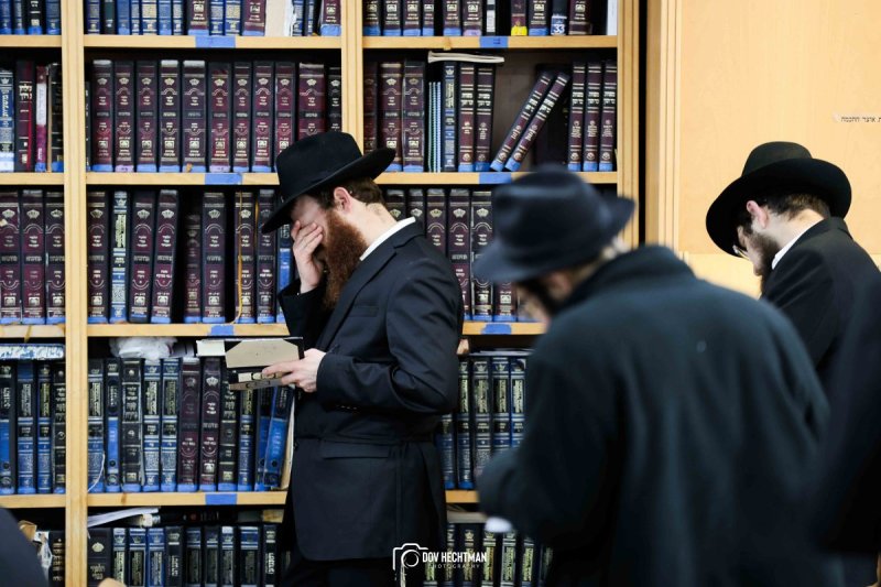 דוב בער הכטמן