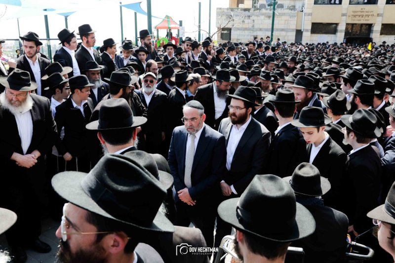 דוב בער הכטמן