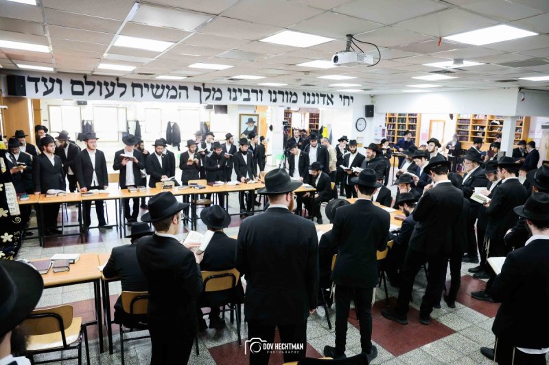 דוב בער הכטמן