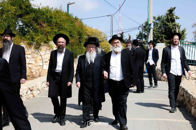 דוב בער הכטמן