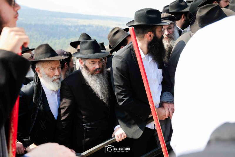 דוב בער הכטמן