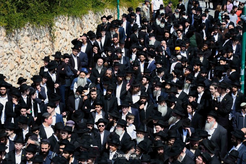 דוב בער הכטמן