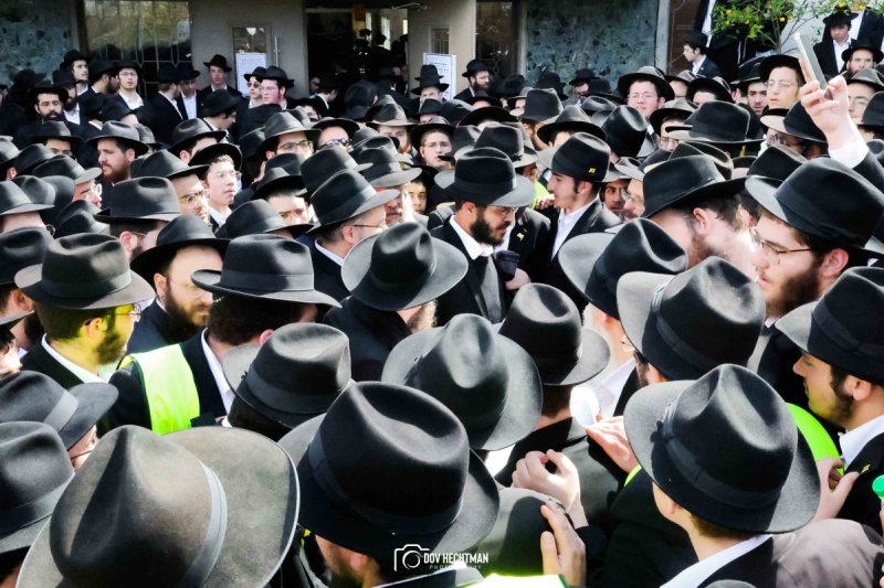 דוב בער הכטמן