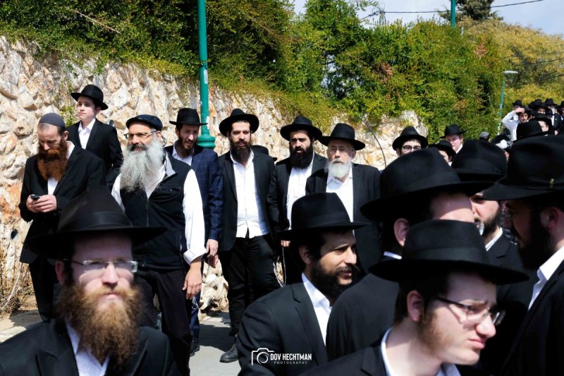 דוב בער הכטמן