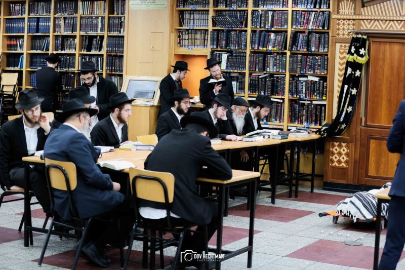 דוב בער הכטמן