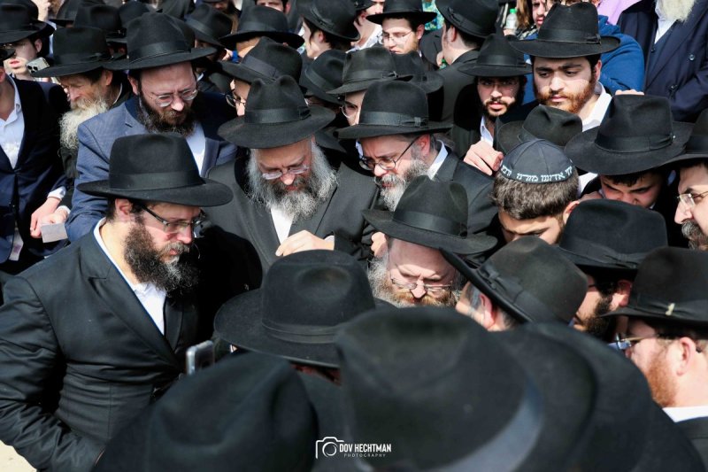 דוב בער הכטמן