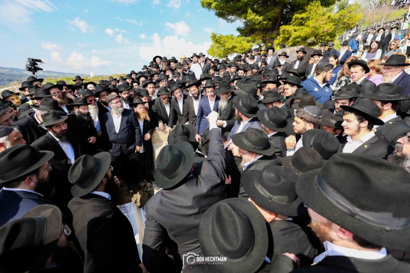 דוב בער הכטמן