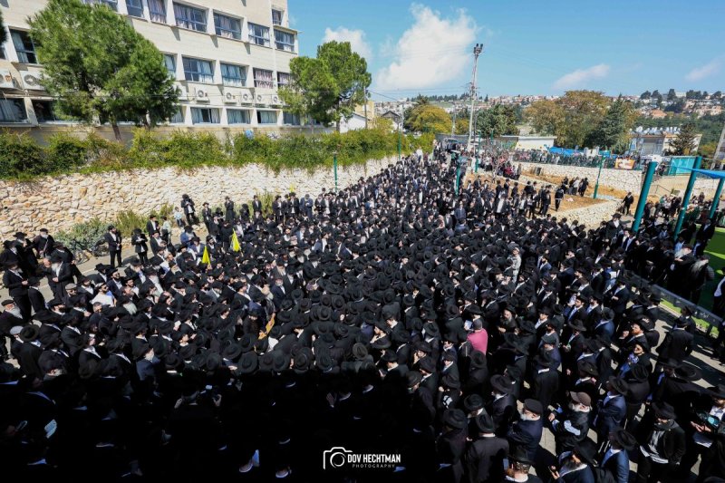 דוב בער הכטמן